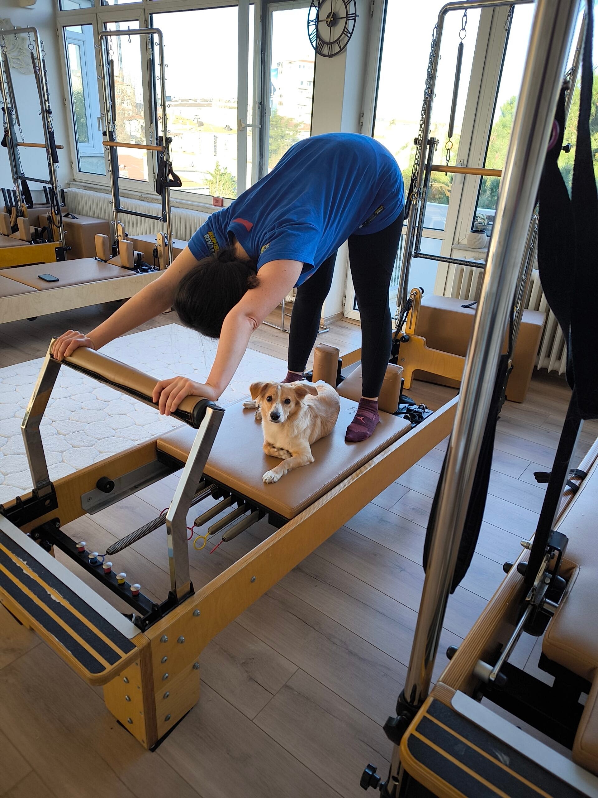 Medikal Pilates